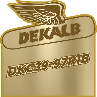 Gold Dekalb logo featuring the winged emblem and the text 'DKC39-97RIB'